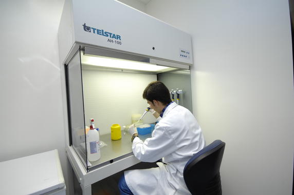 <p>Un investigador trabajando en el laboratorio de la empresa / Canvax Biotech</p>
