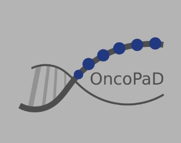 <p>Herramienta web OncoPad. / DCEXS-UPF</p>