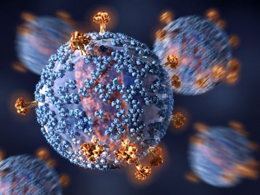 <p>Un nuevo medicamento de acción prolongada podría frenar la expansión del VHI. / C. Bickel / Science Translational Medicine</p>