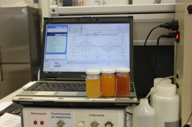 <p>La lengua diferencia una miel pura de una adulterada con jarabes alimentarios en poco más de una hora. / UPV</p>