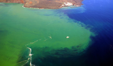 <p>Inmediaciones marítimas del volcán submarino de El Hierro. / Involcan / Guardia Civil</p>