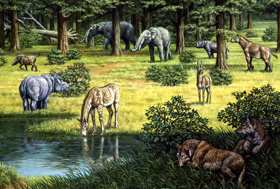 <p>Reconstrucción de un posible ambiente del Mioceno inferior que presenta una típica asociación faunística. Ilustración: Mauricio Antón.</p>