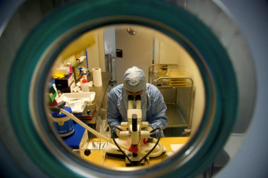 <p>Un investigador trabaja con ratones en el Centro de Investigaciones Biológicas. / CSIC | Joan Costa</p>