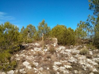 <p>Red terrena desplegada durante una jornada de pruebas en la Sierra de Mariola. / Álvaro Araujo.</p>