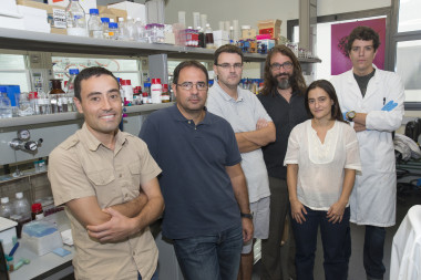 <p>Biogás Plus ha sido desarrollado por investigadores del Insituto Catalán de Nanociencia y Nanotecnología y la Universidad Autónoma de Barcelona. / UAB</p>