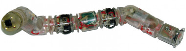 <p>El microrrobot es heterogéneo, multiconfigurable y de tipo cadena. / UPM</p>