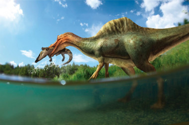 <p>Reconstrucción del aspecto en vida de <em>Vallibonavenatrix cani </em>/ José Antonio Peñas</p>