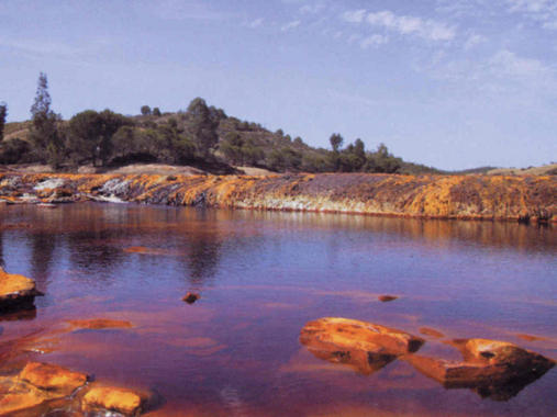 <p class=" text-left">Vista del cauce del Río Tinto. Imagen: Wikipedia</p>