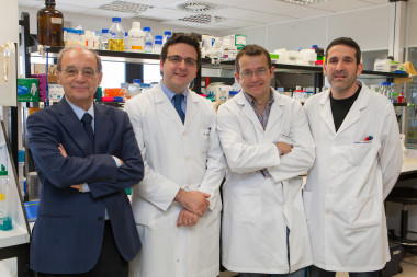<p>Jesús Prieto, Josepmaría Argemí, Tomás Aragón y Roberto Ferrero, en el CIMA de la Universidad de Navarra. / Manuel Castells</p>