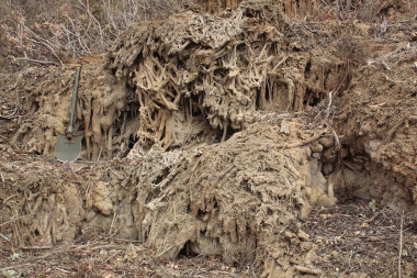 <p>El barranco del Calabozo en Gran Canaria.</p>