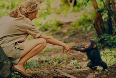 <p>Jane Goodall con Flint, el primer chimpancé nacido en Gombe después de la llegada de la primatóloga. / © National Geographic Creative</p>