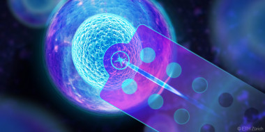 <p>Cell-by-cell analysis with micro-fluids, which allow each cell to be separated into droplets at the same time as a marker is introduced into its DNA. / ETH Zurich</p>