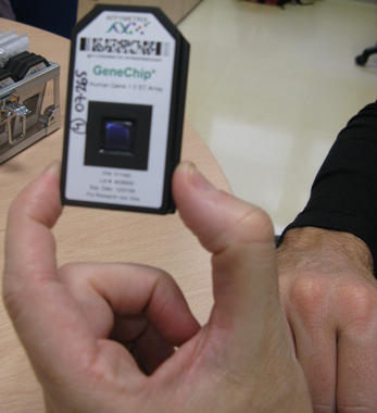 <p>Un chip de DNA. Imagen: UPV/EHU</p>