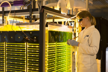 <p>Equipo de cultivo y plantas de proceso para microalgas / Subitec</p>