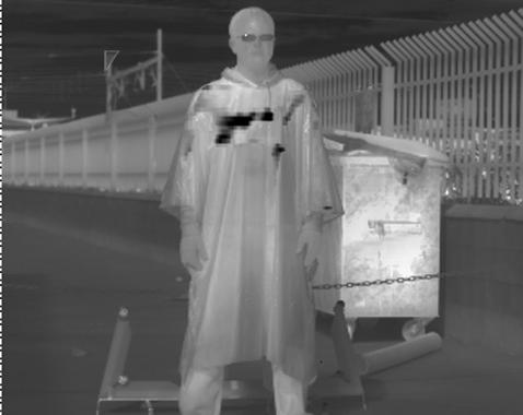 <p>En la imagen, captada con una cámara de THz, se aprecia el revolver que una persona oculta bajo su ropa.</p>