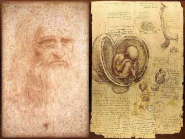 <p>Autorretrato de Leonardo da Vinci dibujado entre 1512 y 1515 (izquierda) y dibujos sobre el embrión humano, realizados entre 1510 y 1513 (derecha).</p>
