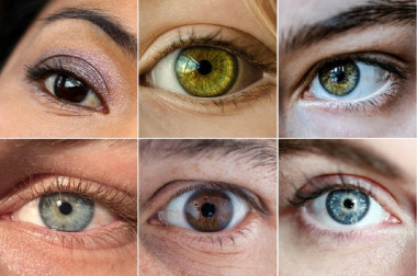 
<!-- START: including template: extension/sinc/design/ezwebin/templates/content/datatype/view/ezxmltags/paragraph.tpl (design:content/datatype/view/ezxmltags/paragraph.tpl) -->
<p>El color de ojos está determinado por la cantidad y el tipo de pigmentos presentes en el iris. / SINC.</p>
<!-- STOP: including template: extension/sinc/design/ezwebin/templates/content/datatype/view/ezxmltags/paragraph.tpl (design:content/datatype/view/ezxmltags/paragraph.tpl) -->
