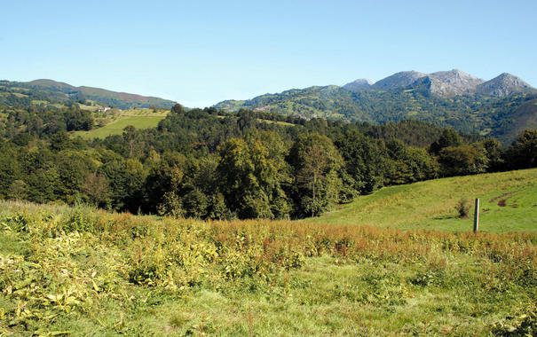 <p> <a href="http://www.plataformasinc.es/index.php/esl/imagenes/inicio/(imagen)/51455" target="_self">Entorno de la cueva de El Sidrón</a>, en Piloña (Asturias). / Foto: J. Fortea / M. de la Rasilla</p>