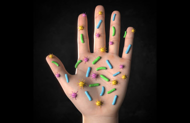 <p>No vemos las bacterias, pero resisten a todos los ambientes. / ©Fotolia</p>