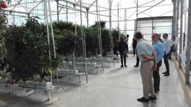 <p>Miembros del proyecto visitan los invernaderos de la Estación Experimental Cajamar./ Foto cedida por los investigadores.</p>
