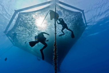 <p>Jaula sumergible para cultivar peces en mar abierto. / OceanSpar</p>