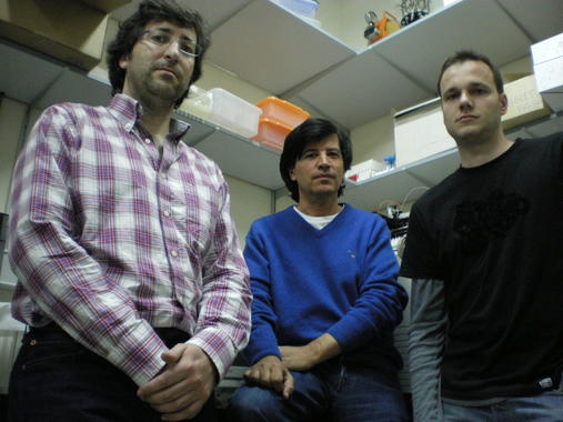 <p>En el centro, <a href="http://www.plataformasinc.es/index.php/esl/Galeria-multimedia/Imagenes/En-las-entranas-del-laboratorio" target="_self">Carlos López-Otín acompañado de</a> Xosé Suárez Puente (izquierda) y Gonzalo Rodríguez Ordóñez (derecha) / Foto: FICYT</p>