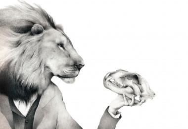 <p>Ilustración de "La selección natural" / Ester García</p>