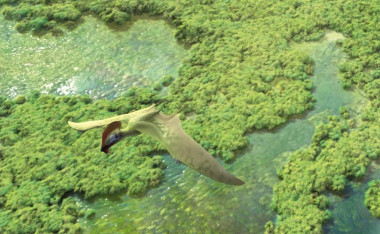 <p>El pterosaurio tapejárido (<em>Europejara olcadesorum</em>) del Cretácico temprano sobrevuela Las Hoyas / Óscar Sanisidro</p>