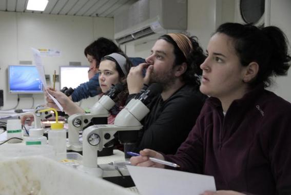 <p> Un grupo de estudiantes realiza prácticas en el laboratorio durante la campaña a bordo del buque oceanográfico <em>Cornide de Saavedra. </em>Foto: UB.</p>
