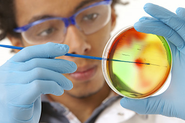 <p>El mal uso de los antibióticos y la aparición de bacterias resistentes preocupan cada vez más a las autoridades sanitarias. / Fotolia</p>