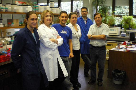 <p>Enrique Fuente Alonso e Isabel Suarez Ruiz (primero y quinta por la derecha), junto al resto de su equipo, en el INCAR-CSIC. <a href="http://www.plataformasinc.es/index.php/esl/imagenes/inicio/(imagen)/35846" target="_self">Foto: FICYT </a></p>